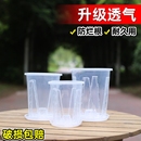 花大号高款 树脂塑料空气柱花盆透明加厚耐用控根透气镂空带托盘