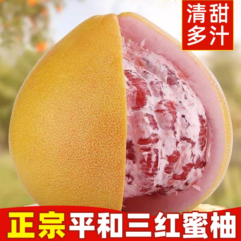 正宗平和新鲜三红柚子管溪蜜柚当季红柚水果福建琯溪柚子