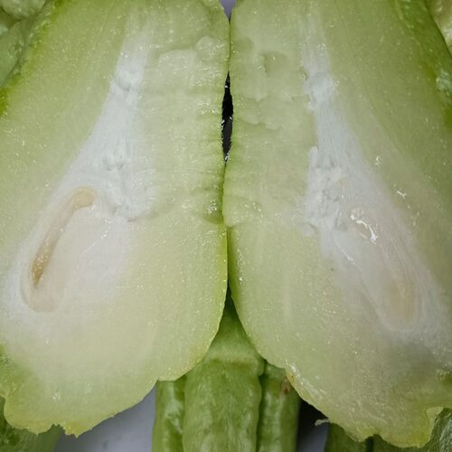 云南新鲜佛手瓜露天农家自种杨瓜