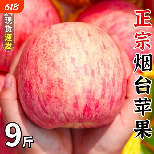 山东烟台红富士苹果新鲜水果当季栖霞萍果丑平果脆甜