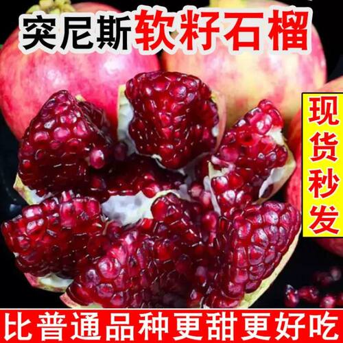四川会理突尼斯软籽石榴9斤新鲜水果无籽红宝石当季石榴大果整箱