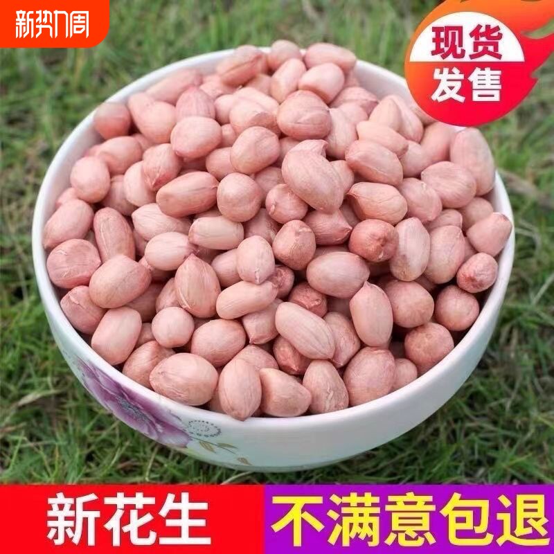 2025年新货白沙花生米大粒粉红皮带壳不带壳榨油花生大颗粒精选