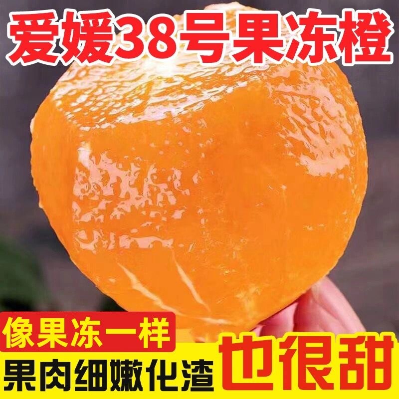 时令正宗四川爱媛38号果冻橙新鲜甜橙子应当季孕妇水果整箱手剥橙