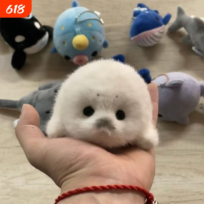 ins卡通海洋动物鲸鲨毛绒公仔鲨鱼鲸鱼压床结婚娃娃抛洒公仔海豹