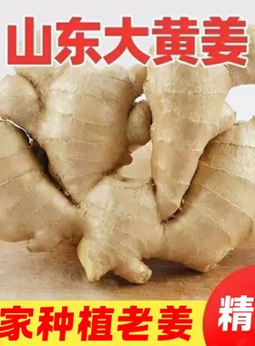 2025年山东正宗山东生姜老姜大姜新鲜农家黄姜月子3斤/5斤干姜