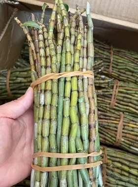 云南新鲜铁皮石斛鲜条食用滋补仿野生种植2-7年生现剪现发