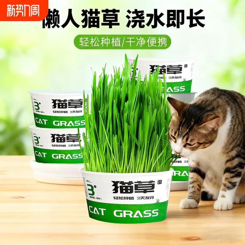 懒人种植猫草盆栽泡面土培盒吐毛球化毛猫咪零食用品水培泡面猫草