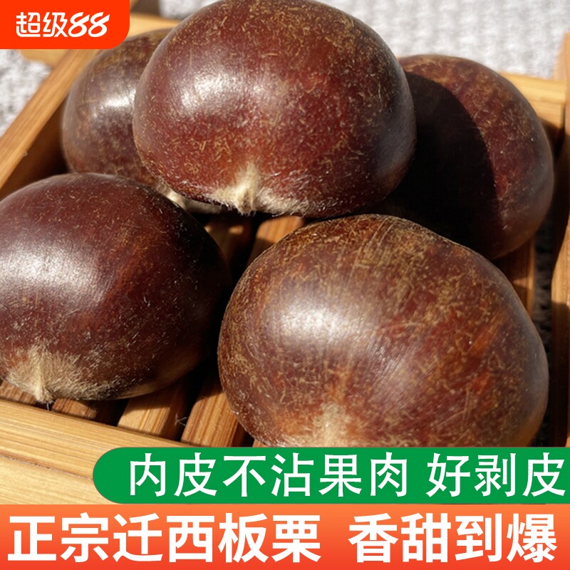 2025正宗迁西板栗生新鲜河北唐山栗子大栗燕山小油栗板粟毛板栗