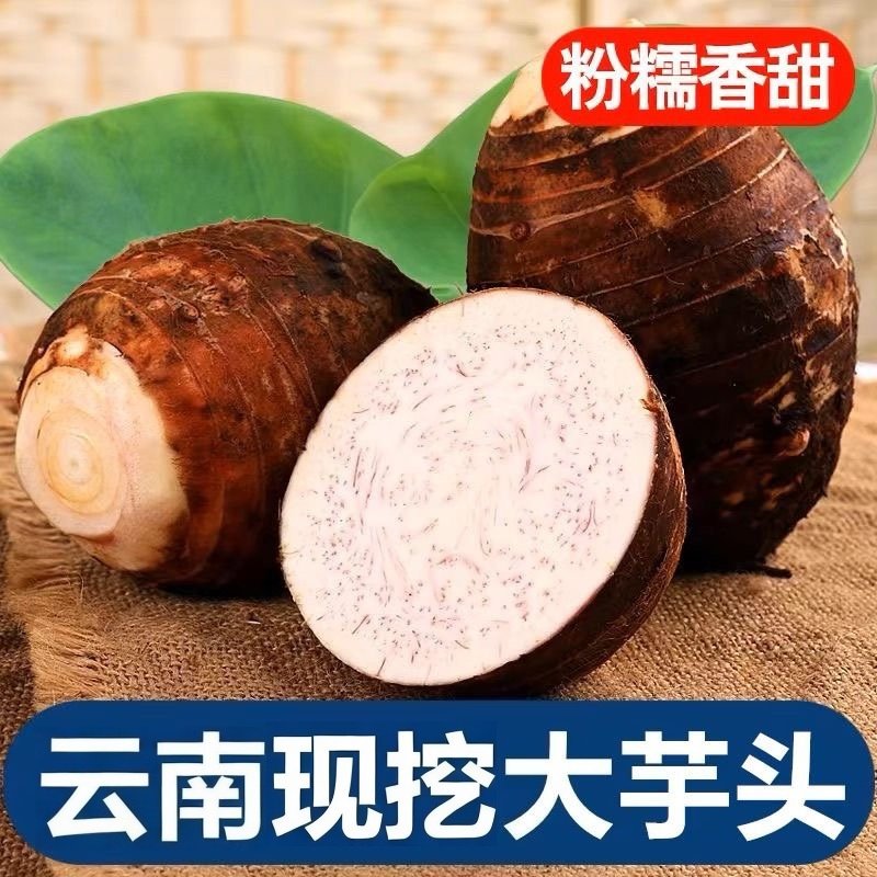 正宗云南新鲜芋头正宗纯天然芋头农家自种新鲜香芋香甜粉糯大芋头,水产肉类/新鲜蔬果/熟食,芋头,淘宝优惠券,粉丝福利购,淘宝优惠卷