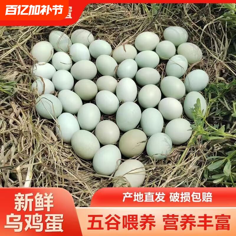 农家散养正宗绿壳乌鸡蛋新鲜孕妇谷物蛋营养虫草蛋柴鸡蛋绿皮蛋