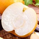 梨子皮薄超甜丰水梨水果新鲜应季 水果梨子梨子批发