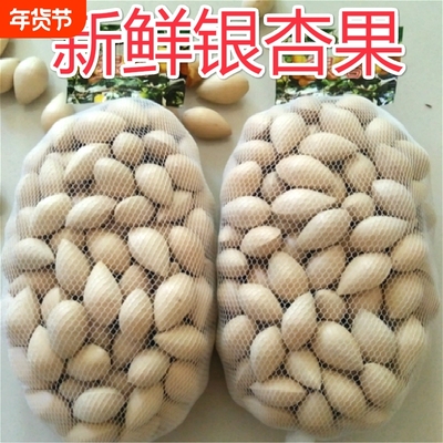 新鲜生白果银杏2斤保质量