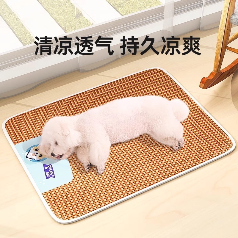 �����ٱ�?͸��������������ϯ�桿��ɫ������ϯ�� S��45*35cm���ʺ�5�����׳�ʹ�ã� ������ϯ���ѱ���˯�������ļ��ص����è�乷����˯�����ļ�ͨ��