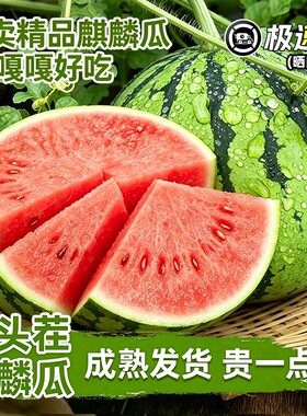 正宗8424冰糖麒麟西瓜薄皮无籽黑籽当季西瓜新鲜水果整箱批发大瓜