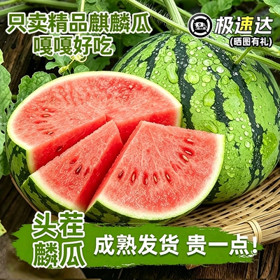 正宗8424大瓜整箱|超3000次加购