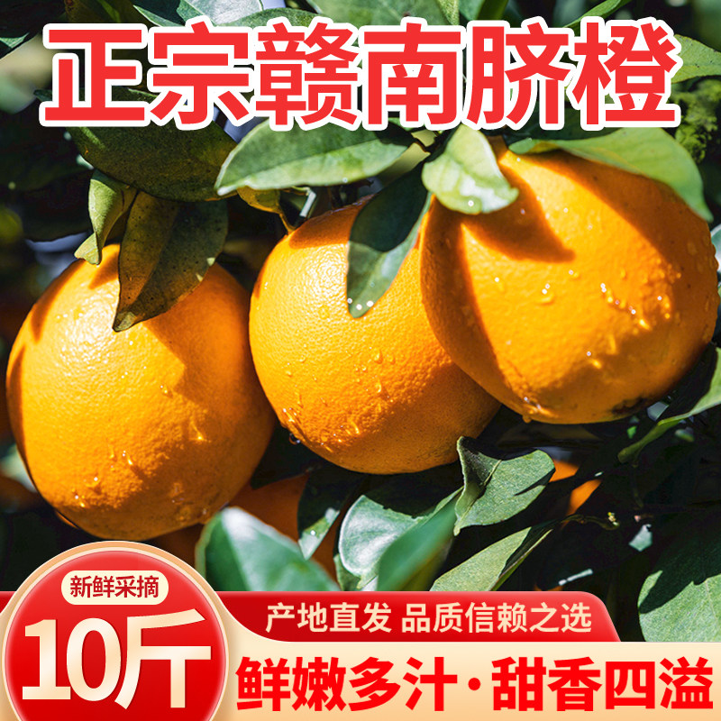 橙子新鲜10斤大果正宗江西赣南脐橙当季水果孕妇甜橙赣州产地直发