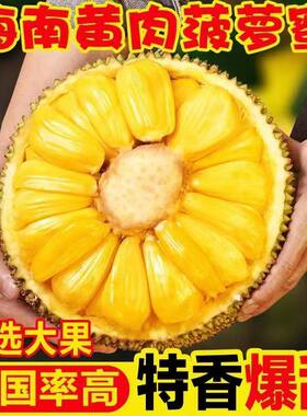 海南黄肉菠萝蜜新鲜水果当季现摘生鲜一整个波罗果肉大果热带香蕉