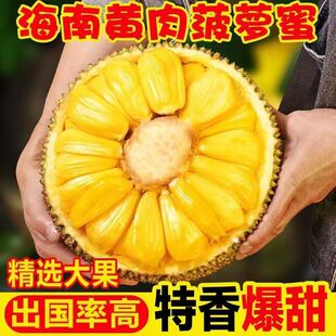海南黄肉菠萝蜜新鲜水果当季现摘生鲜一整个波罗果肉大果热带香蕉