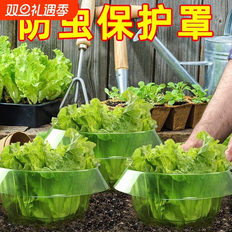 防鼻涕虫神器槟榔树保护罩蜗牛档厂家直销菜苗保护罩其它园艺用品