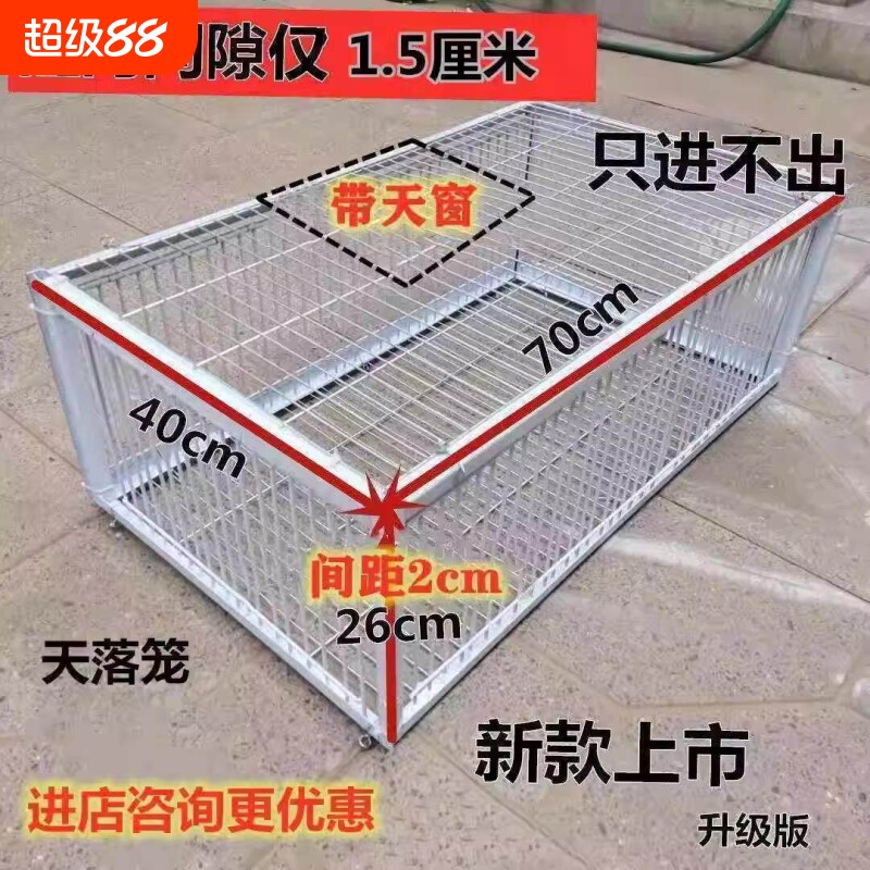 只进不出鸟笼全自动天落笼子撞户外抓鸽收子捕加密门可连续用新款
