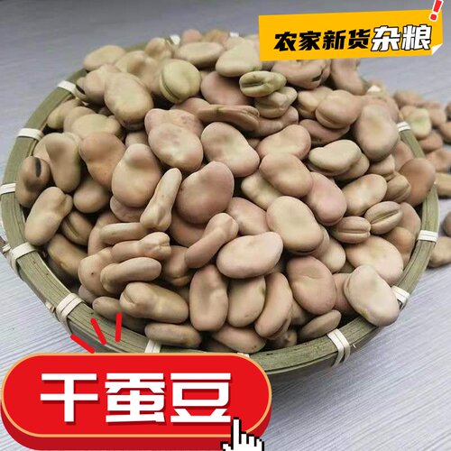 新货新鲜干蚕豆云南批发农家白胡豆种罗汉豆五谷杂粮散装大颗粒