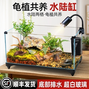 乌龟饲养缸生态造景家用玻璃缸小型水陆两用养鱼缸专用缸客厅换水