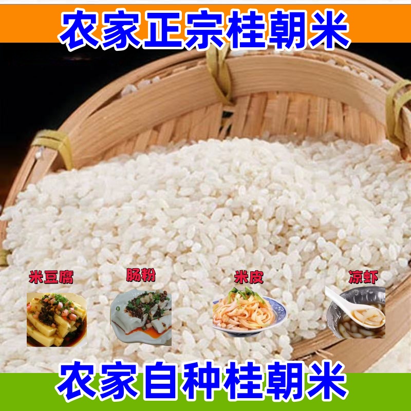 桂朝米贵朝米贵州米豆腐农家凉糕凉虾米粉米皮肠粉米线专用大米