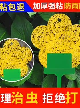 花型黄色粘虫板诱虫板双面粘虫板家用花卉粘虫纸果蝇诱捕器