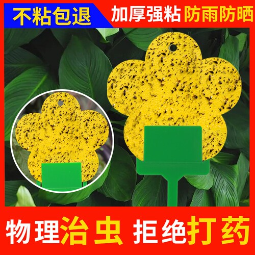 黄色粘虫板双面粘|超6000次加购