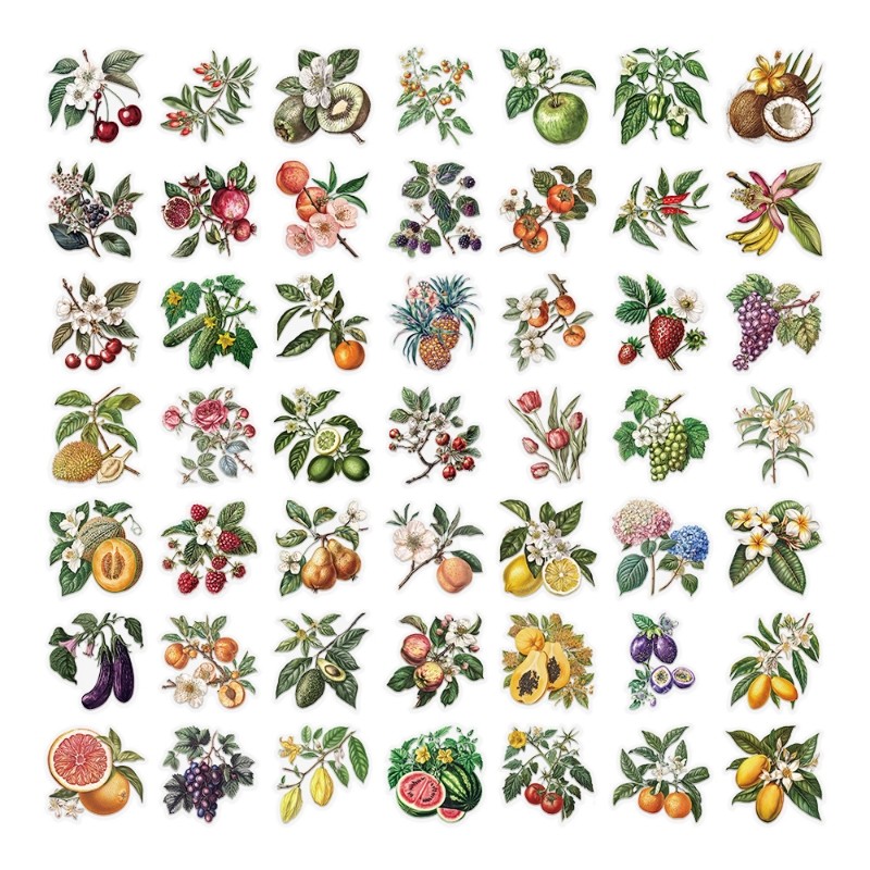 100张水果植物贴纸趣味PET材质装饰用手账桌面手机壳笔记本,文具电教/文化用品/商务用品,贴纸/立体贴纸,淘宝优惠券,粉丝福利购,淘宝优惠卷