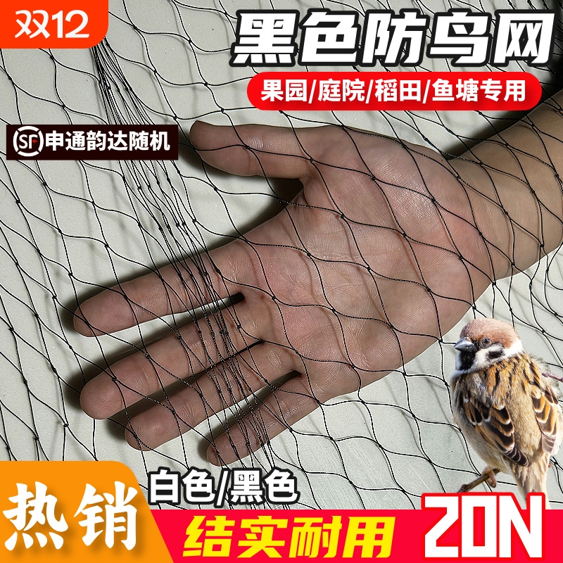 涤纶防护网高强涤纶合股防鸟网果园果树大棚防鸟天网户外鱼塘养殖