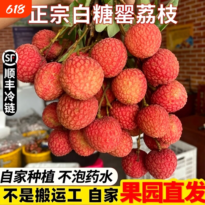 白糖罂荔枝新鲜水果当季整箱包邮顺丰桂应味茂名高州大果现摘现发