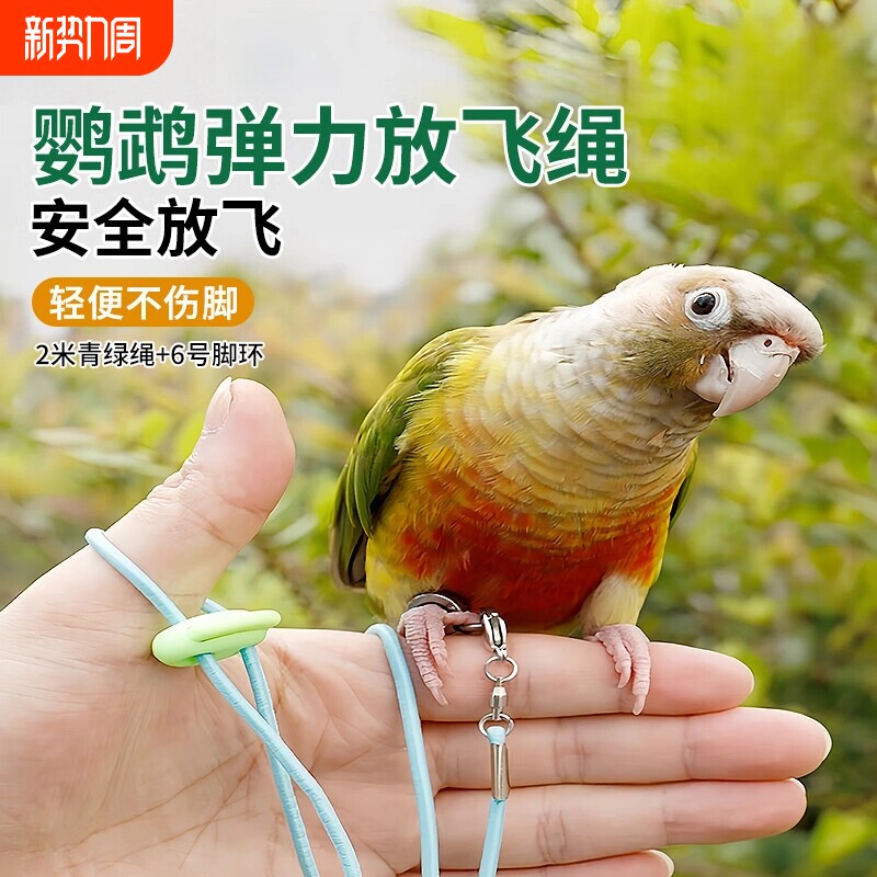 鹦鹉放飞绳超轻遛鸟牵引户外训练绳虎皮牡丹玄凤神器外出八哥