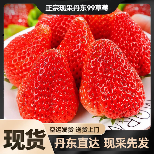 丹东99草莓新鲜水果应当季红颜奶油现货九九牛奶大整箱3空运包邮