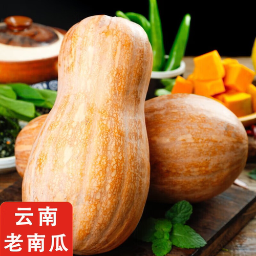 云南老南瓜农家自种当季新鲜粉面甜糯辅食蒸煮密本南瓜香甜早点
