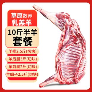 10斤半只羊套餐新鲜现杀生羊肉冷冻分割羊排羊蝎子羊腿肉烧烤食材