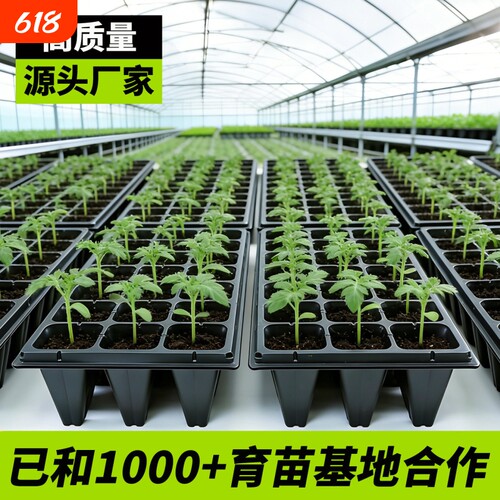 育苗盘穴盆杯盒玉米蔬菜