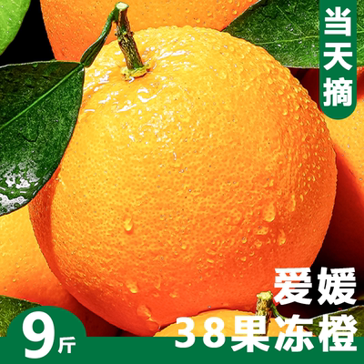 四川爱媛橙38号果冻橙手剥大果