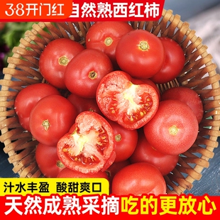 四川自然熟沙瓤番茄西红柿新鲜水果生吃蔬菜攀枝花米易当季现摘