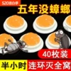 Товары от 天天特卖工厂