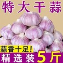 金乡大蒜干蒜5斤特大果山东农家紫白皮批发新鲜大蒜头种子大蒜瓣