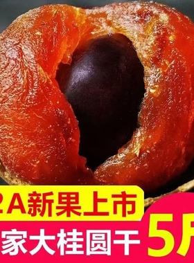 新货大果桂圆干非特级福建莆田特产非无核带壳桂圆龙眼肉干泡水