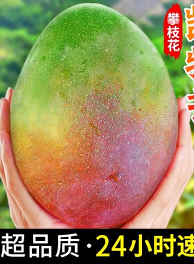 【官方推荐】凯特芒芒果现货速发