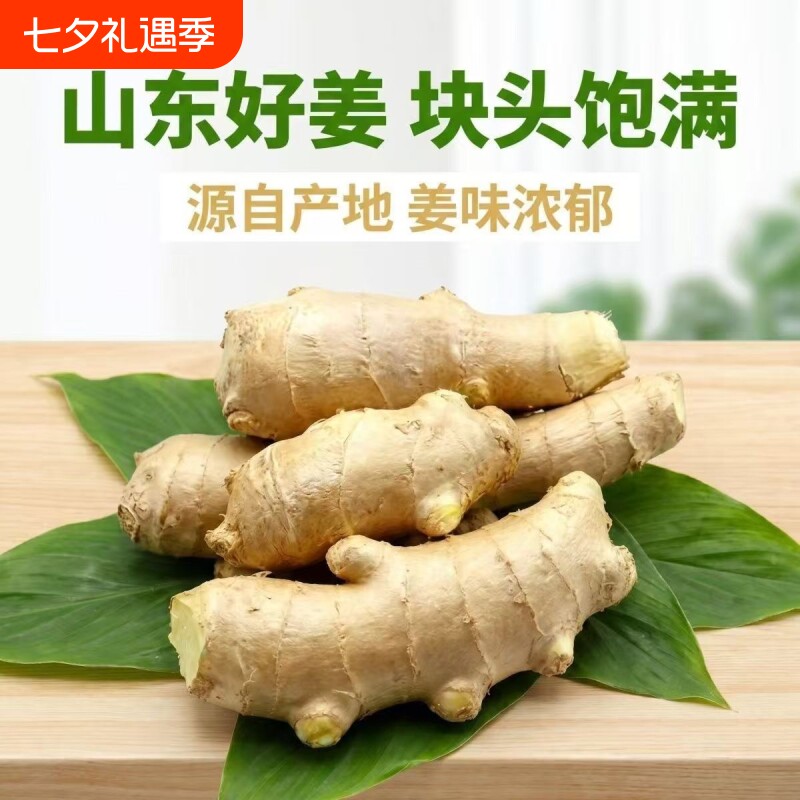 山东大姜生姜新鲜老姜月子姜风干水洗姜红糖姜汁农家自种旗舰店