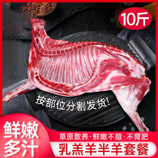 羊肉新鲜现杀半只羊10斤羊后腿肉羔羊肋排冷冻羊蝎子火锅食材礼盒