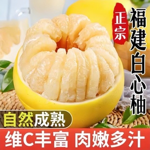 正宗新鲜白心柚子9斤福建平和产地直供沙田梅州蜜柚葡萄柚文旦柚