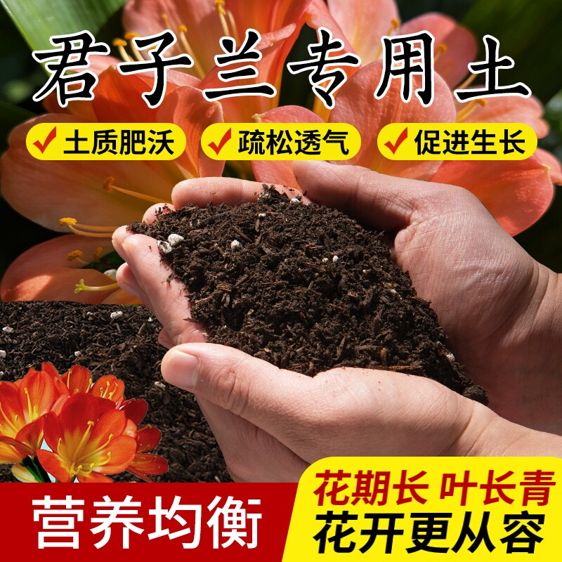 君子兰专用土兰花通用有机肥料营养土盆栽养花土壤花土泥土兰花土
