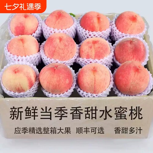 2026年水蜜桃应季桃子新鲜水果甜脆当季毛大果整箱包邮脆甜
