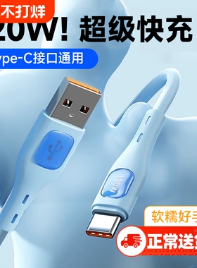 驯龙师typec数据线120W6A适用华为vivo荣耀mate70安卓充电线100W88W66W手机Pura70pro平板usb转tpyec超级快充