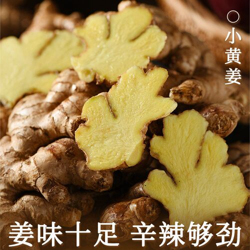 云南小黄姜嫩姜高山农家种植新鲜生姜月子姜辛辣土姜9斤整箱批发